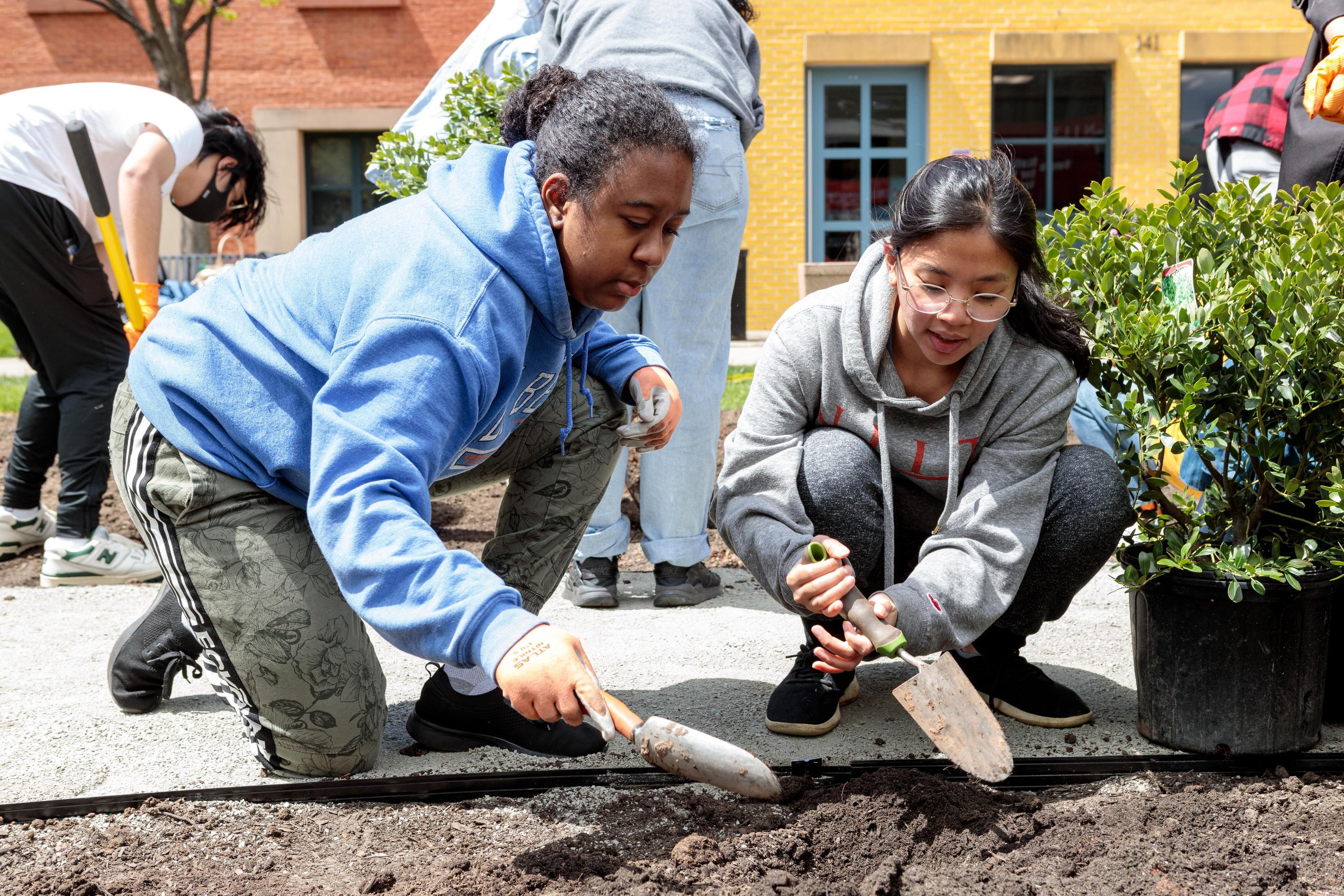 Volunteering is core to the Honors College experience.