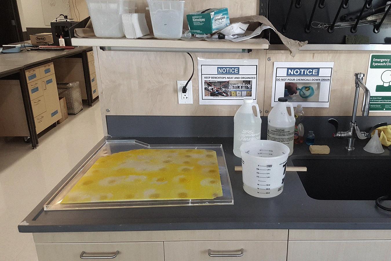 Test cast of slime mold in a large (18