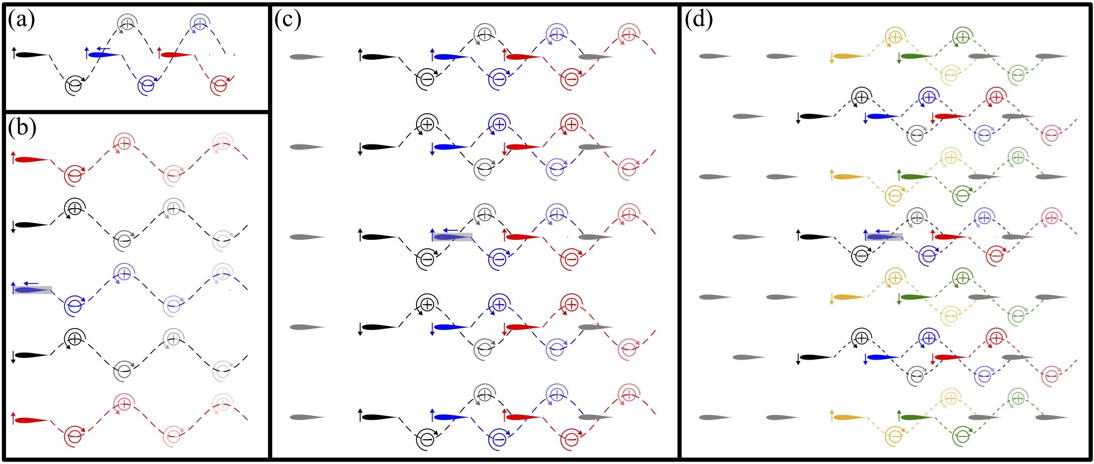 Comparison of school formations and fluid flows examined by the team's model: (a) in-line formation; (b) phalanx; (c) rectangular lattice; (d) diamond lattice. (Credit: NJIT)