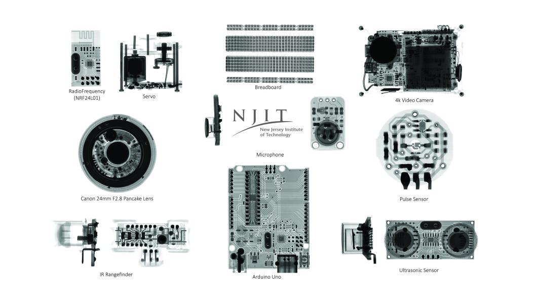 NJIT Professor Elevates CT Scan Lab Work to Realm of Visual Art