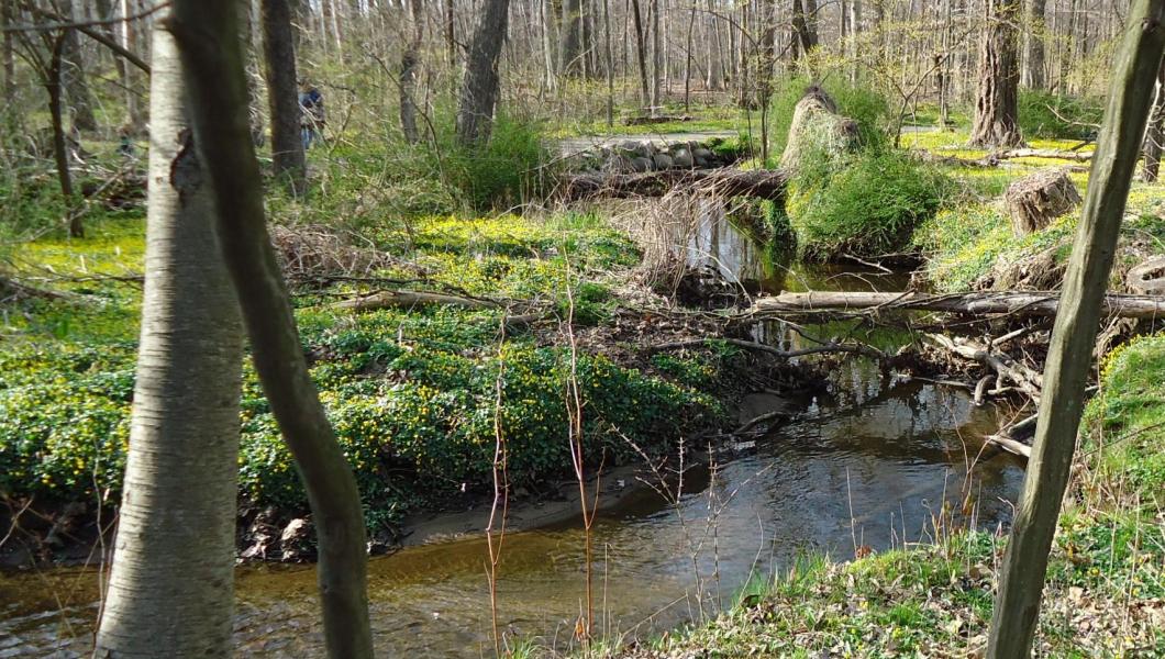 NJIT and Israeli Engineers Create Clean Water Tech with Added Industrial Benefit