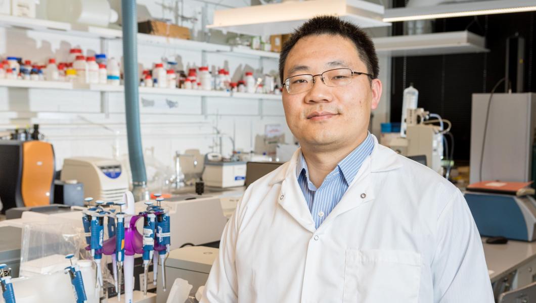 NJIT's Xu is Developing a Timed-Release mRNA Vaccine with an Extended Shelf Life